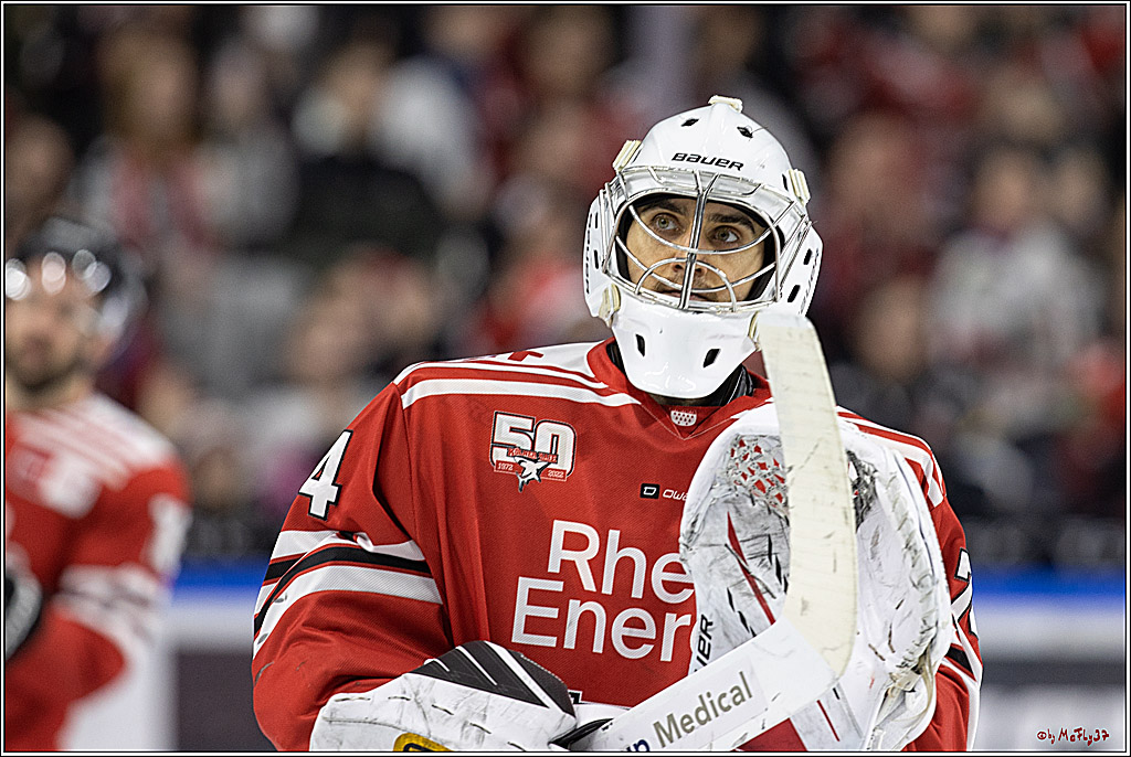 PENNY DEL;  Kölner Haie - Loewen Frankfurt; Köln, 18.12.2022